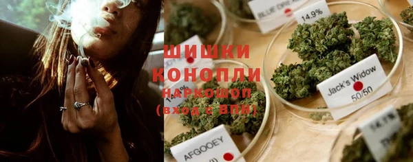 ПСИЛОЦИБИНОВЫЕ ГРИБЫ Алексин