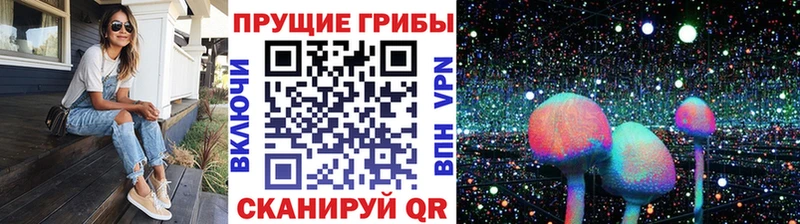 Галлюциногенные грибы ЛСД Амурск