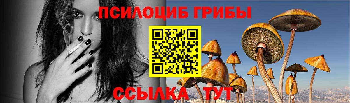 Галлюциногенные грибы мицелий Амурск