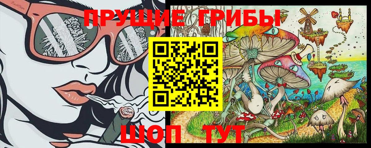 купить закладку  Вход с VPN  Амурск  Псилоцибиновые грибы MAGIC MUSHROOMS 